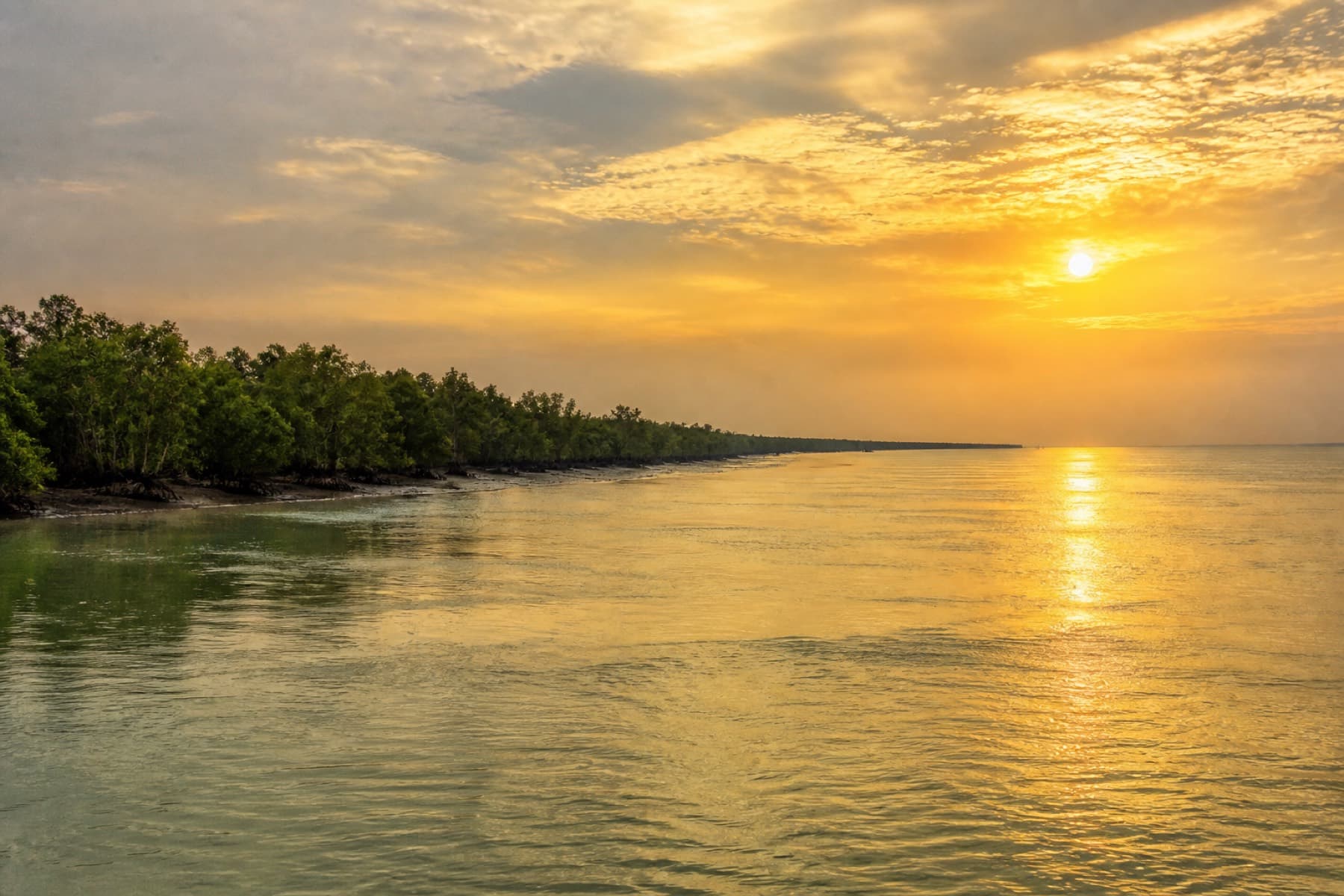Sunrise over the Bay of Bengal mangrove coastline