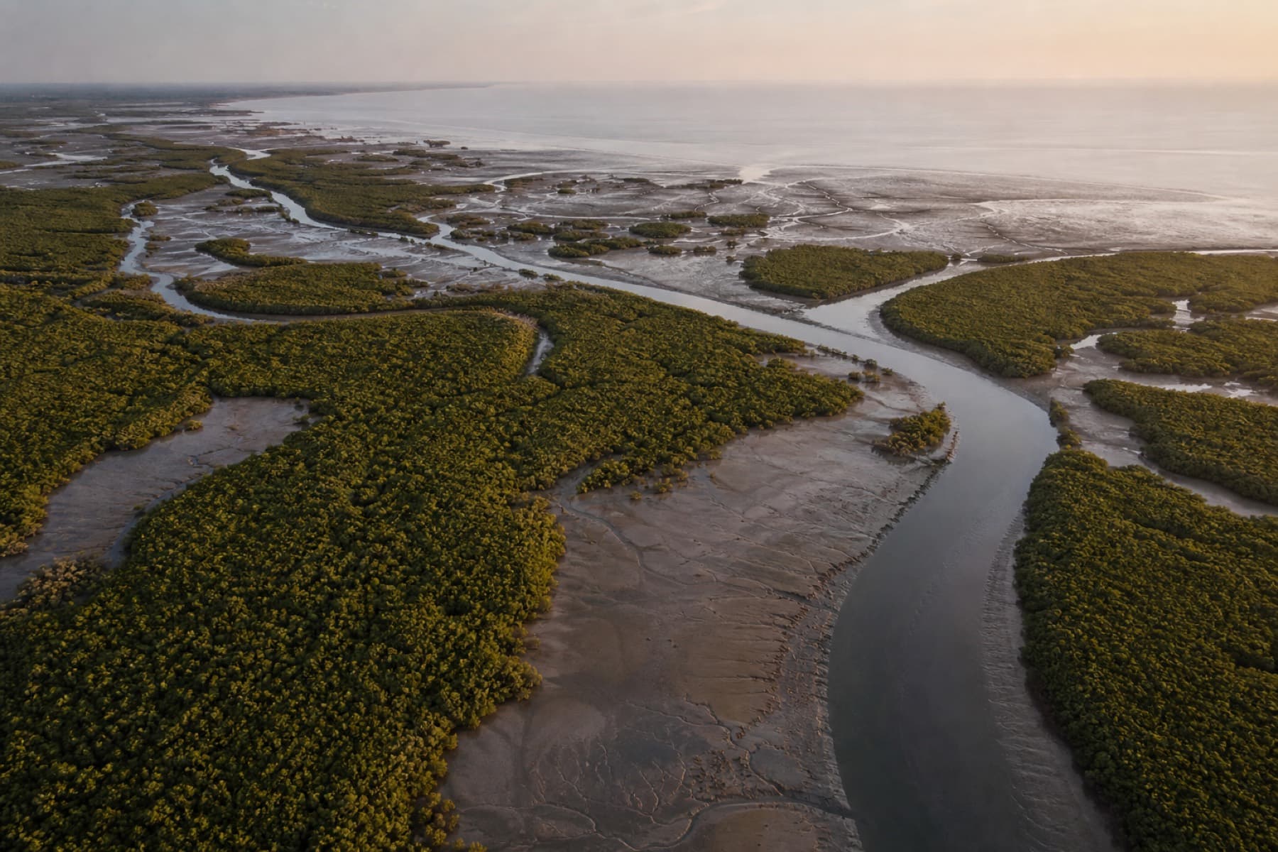 Aerial of the Coringa-Godavari mangrove estuary