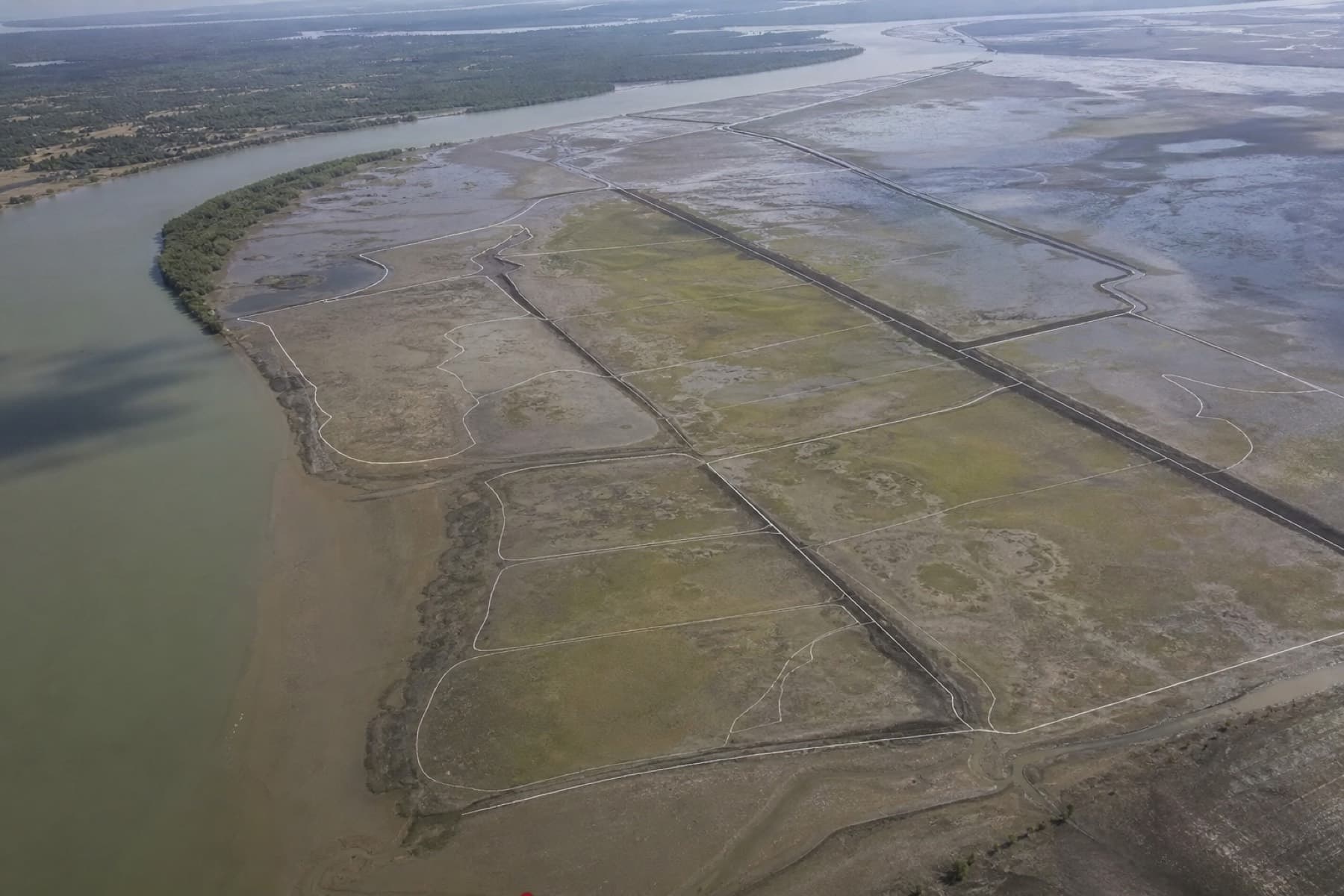 Aerial mudflats with faint survey parcel lines