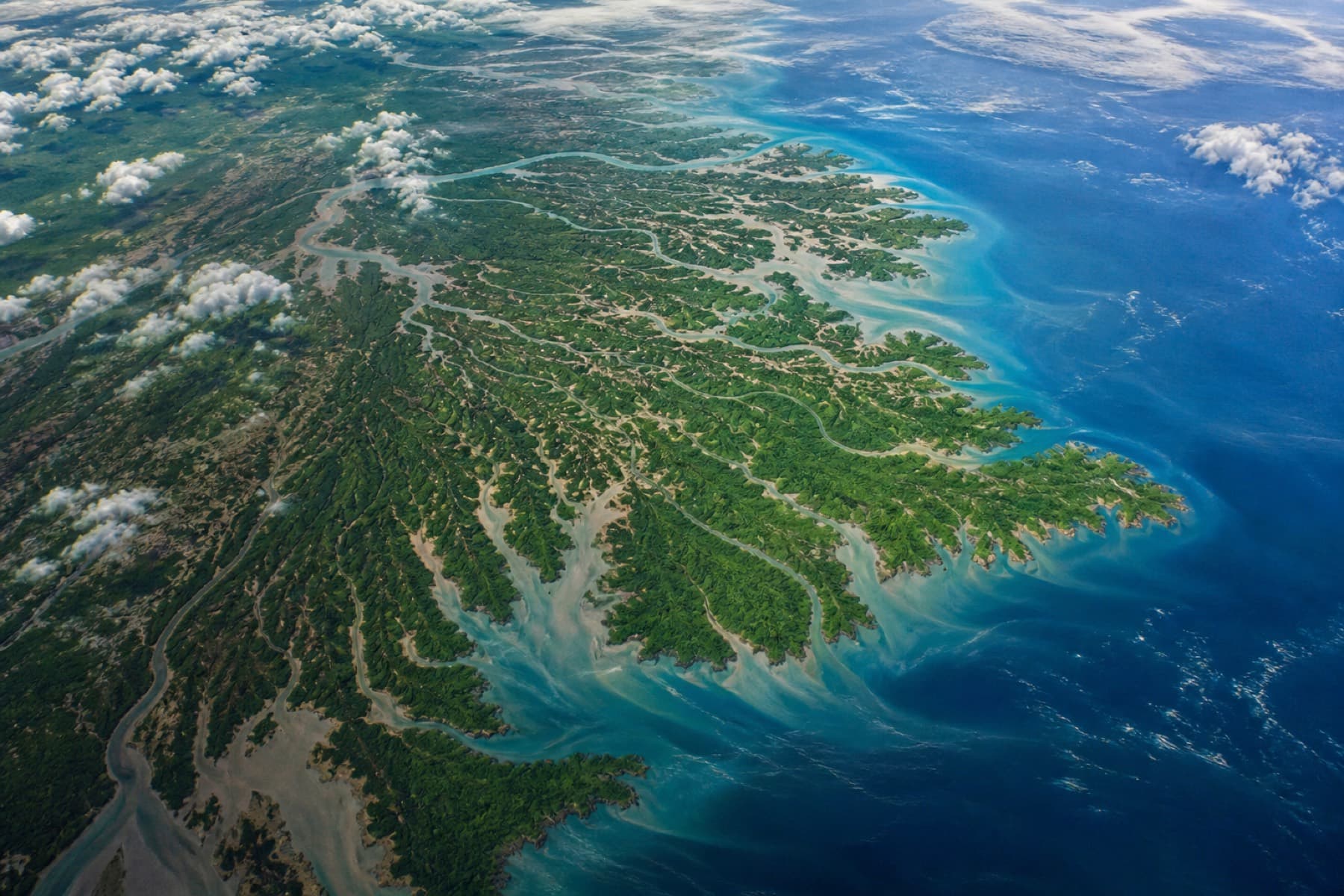 Orbital view of a tropical river delta