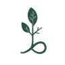 Afforestation